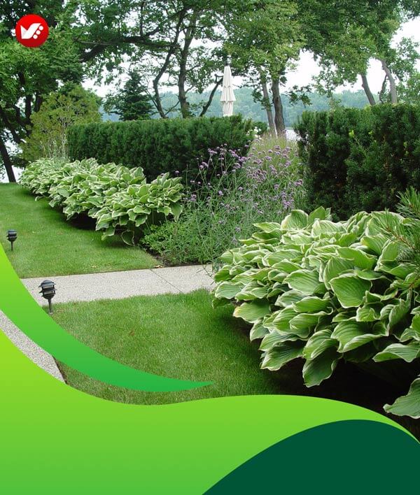 lanscape design 135 - طراحی لند اسکیپ برای باغ و فضاهای سبز مسکونی