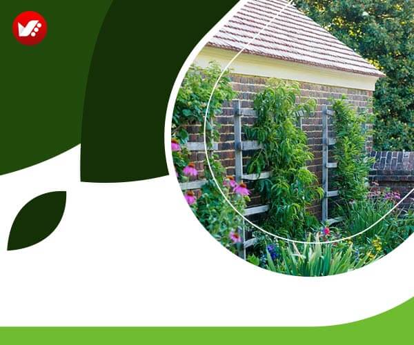 landscape design 36 - طراحی لنداسکیپ برای باغ و فضاهای سبز مسکونی